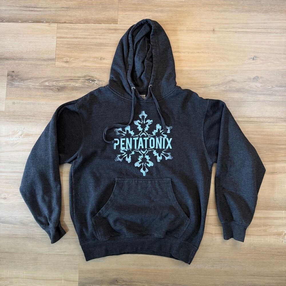 Pentatonix Men’s Gray And Blue Pullover Hoodie Size Medium Merch Vocal Group